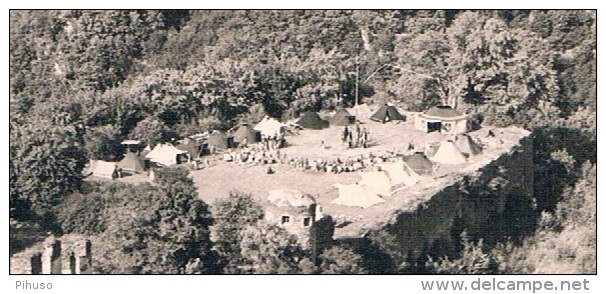 D5953     WALDECK : Burg Waldeck Mit Campingplatz ( Scouting ? )( RPPC) - Waldeck