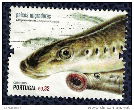 PORTUGAL 2011 Oblitéré Used Stamp Poissons Migrateurs Lampreia De Rio Lampreta Fluviatilis - Gebraucht