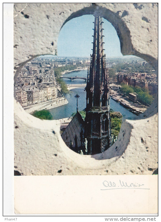 PARIS, La Seine Et La Flêche De Notre-Dame, Ed. Albert Monier 1960 Environ - Notre Dame De Paris