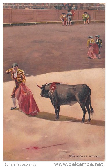 Bull Fight Senalando La Estocada - Corrida