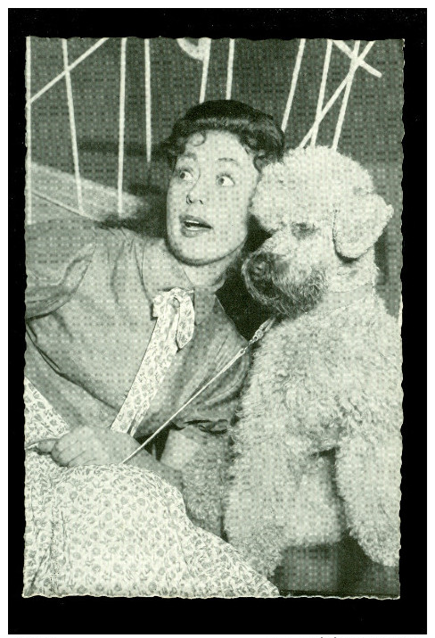 Artiste De Ciné Film Acteur Filmster Cinema   Reclame Macaroni Honig Gand Gent : Catherina Valente - Chien Hond Poedel - Acteurs