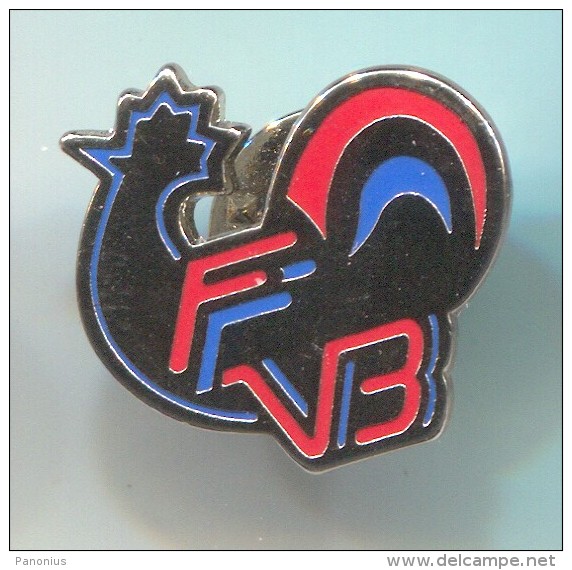 VOLLEYBALL Pallavolo - FFVB, France, Federation, Enamel, Vintage Pin, Badge - Pallavolo