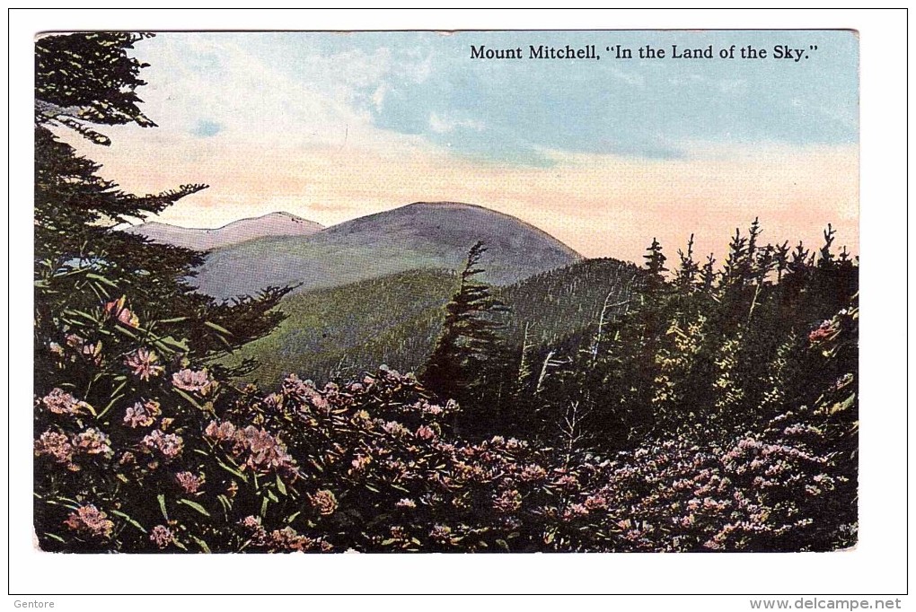 Mount Mitchell " In The Land Of Sky"  Very Fine Used Post Card  To Rome 1912 - Other & Unclassified