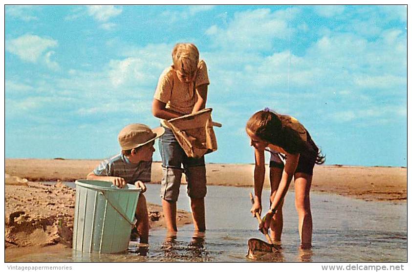 200341-Massachusetts, Nantucket, Maria Mitchell Association Natural Science Department, Children Studying Nature - Nantucket