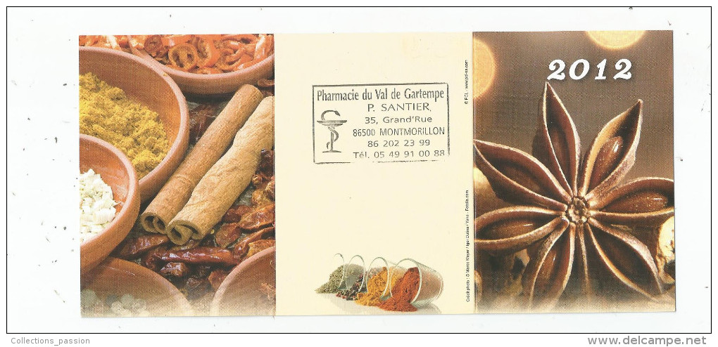 G-I-E , Calendrier , 2012 , Pharmacie Du Val De Gartempe , Montmorillon , 6 Pages , 2 Scans - Tamaño Pequeño : 2001-...