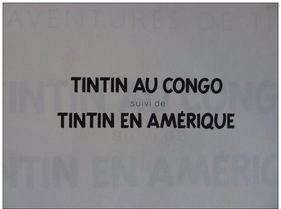 Album Double TINTIN AU CONGO Et TINTIN EN AMERIQUE Par HERGE édité Par FRANCE LOISIRS En 1987 En 138 Pages - Hergé