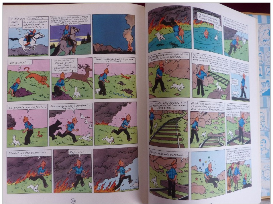 Album Double TINTIN AU CONGO Et TINTIN EN AMERIQUE Par HERGE édité Par FRANCE LOISIRS En 1987 En 138 Pages - Hergé