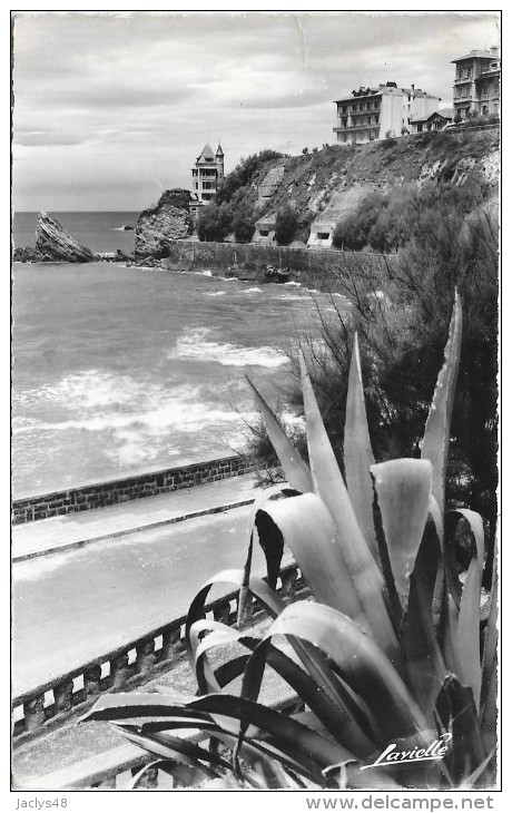 BIARRITZ (cpsm 64) Promenade Dans Les Jardins De La Côte Basque - - Biarritz