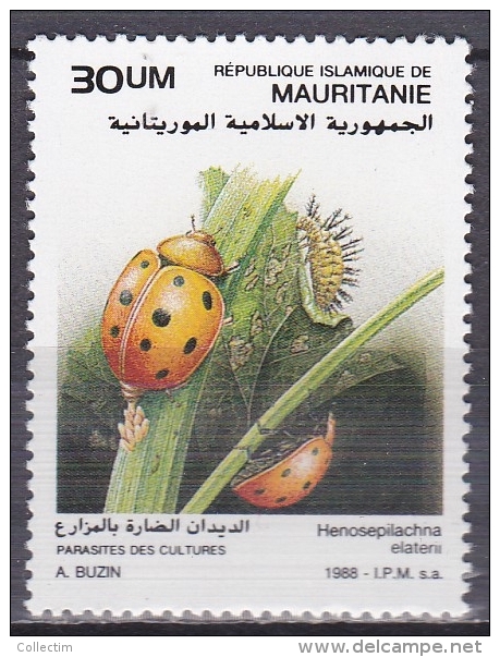 MAURITANIE 1988 621 ** INSECTES COCCINELLES - Other & Unclassified