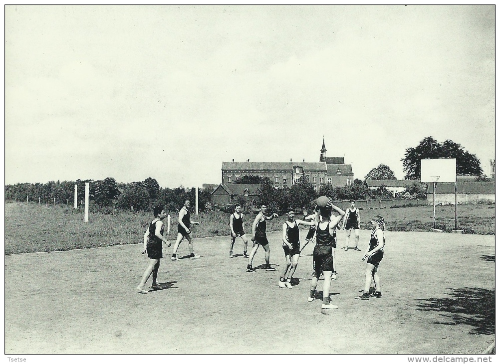 Enghien - Collègue St.-Augustin - Une Plaine De Sport, élèves - Enghien - Edingen