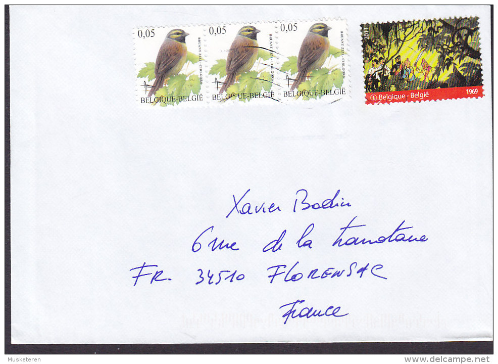 Belgium 2011? Cover Lettre 3-Stripe BUZIN Bird Vogel Oiseau + Comics Hergé TinTin Kuifje Timbre - Briefe U. Dokumente