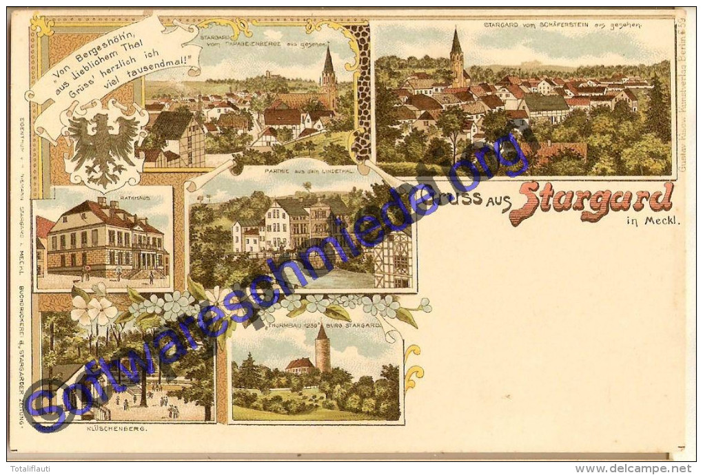 Gruss Aus STARGARD Mecklenburg Color Litho - Neubrandenburg