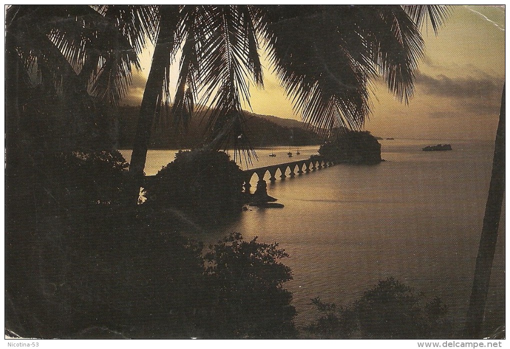 CT--N--985--   AMANECER TROPICAL DOMENICANO' SUNRICE  SAMANA' -  REP. DOM. - Dominica (1978-...)