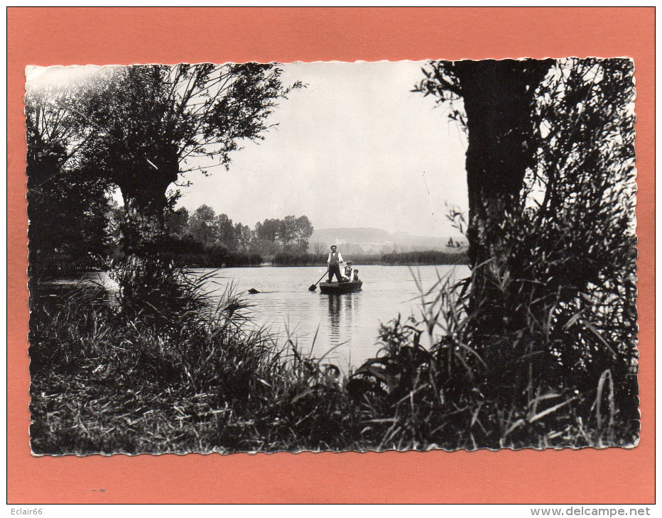 80 CONDE-FOLIE - L'Etang De Monsieur CHEVELU  Canotage Sur L'étang -CPSM  PF Dentellée Année 1960 EDIT DOMINOIS - Autres & Non Classés