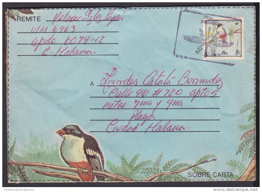 1987-EP-162 CUBA 1987. Ed.203. ANGOLA WAR. POSTAL STATIONERY. TOCOLORO AVES BIRDS. - Lettres & Documents