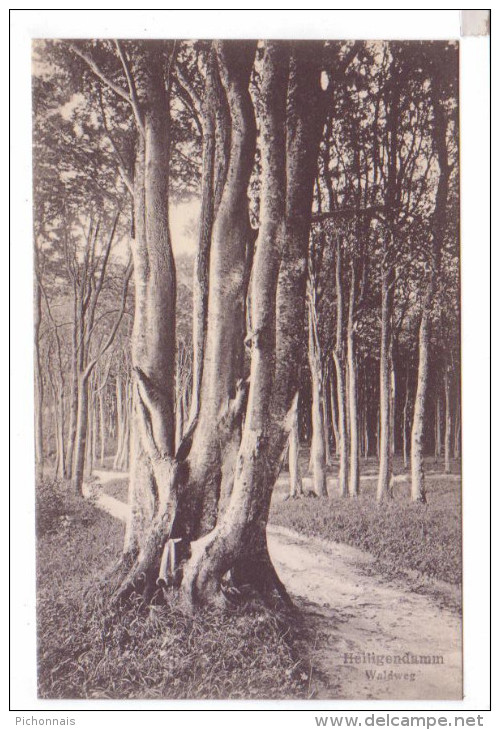 HEILIGENDAMM Waldweg - Heiligendamm