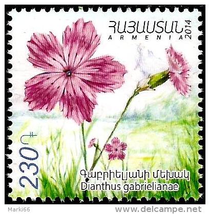 Armenia - 2014 - Flora - Flowers - Carnation - Dianthus Gabrielianae - Mint Stamp - Arménie
