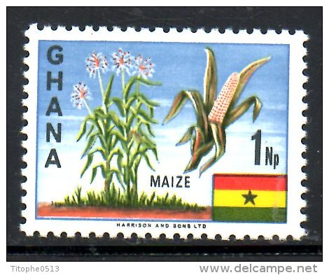 GHANA. N°278 De 1967. Maïs. - Agriculture