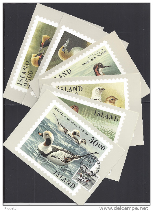 ISLANDE - 1989-91 " SALON PHILATELIQUE DE REYKJAVIK - SIX TRES JOLIES CARTES-MAXIMUM TIMBREES THEMATIQUE OISEAUX - - Maximumkaarten