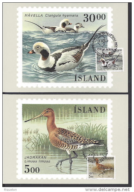 ISLANDE - 1989-91 " SALON PHILATELIQUE DE REYKJAVIK - SIX TRES JOLIES CARTES-MAXIMUM TIMBREES THEMATIQUE OISEAUX - - Tarjetas – Máxima