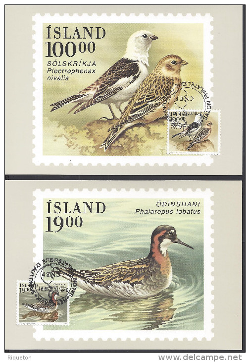 ISLANDE - 1989-91 " SALON PHILATELIQUE DE REYKJAVIK - SIX TRES JOLIES CARTES-MAXIMUM TIMBREES THEMATIQUE OISEAUX - - Maximum Cards