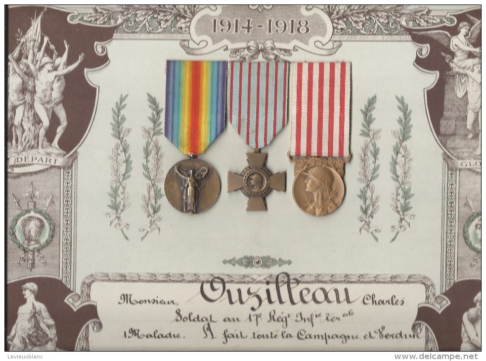 En Mémoire De La Grande Guerre/Présentoir De Décorations/+ 3  Médailles/17éme RI Territoriale// 1914-1918    DIP101 - Other & Unclassified