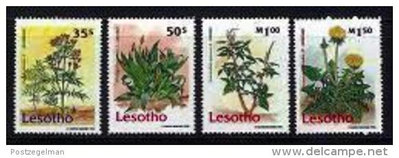 LESOTHO, 1995, Mint Never Hinged Stamp(s), Medical Plants,  MI Nrs. 1106-1109, #2754 - Lesotho (1966-...)