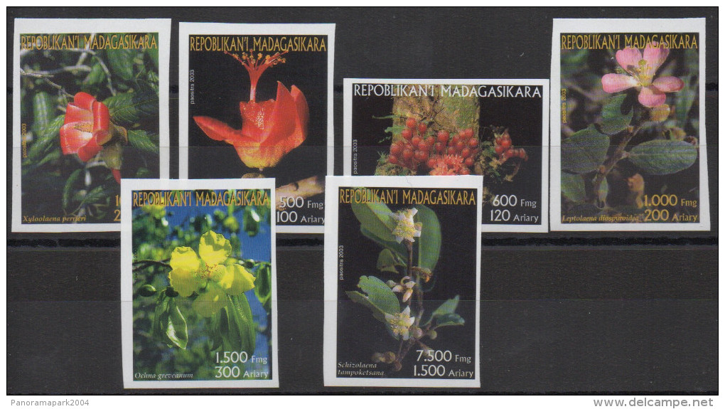 Madagascar Madagaskar 2003 Mi. 2598-2603 Fleurs Flora Flore Blumen Flowers 6 Val. IMPERF NON DENTELES MNH** - Madagaskar (1960-...)