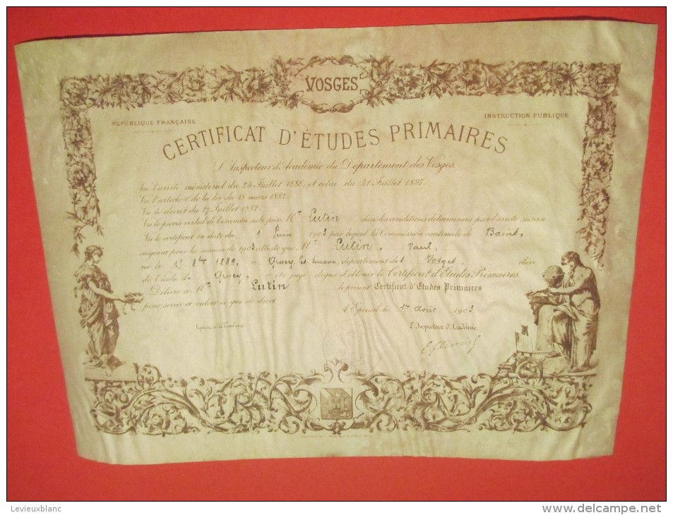 Certificat D'Etudes Primaires/ Département Des Vosges /Ecole De GRUEY/Epinal / Paul LUTIN/ Gentil/1903      DIP116 - Diplome Und Schulzeugnisse