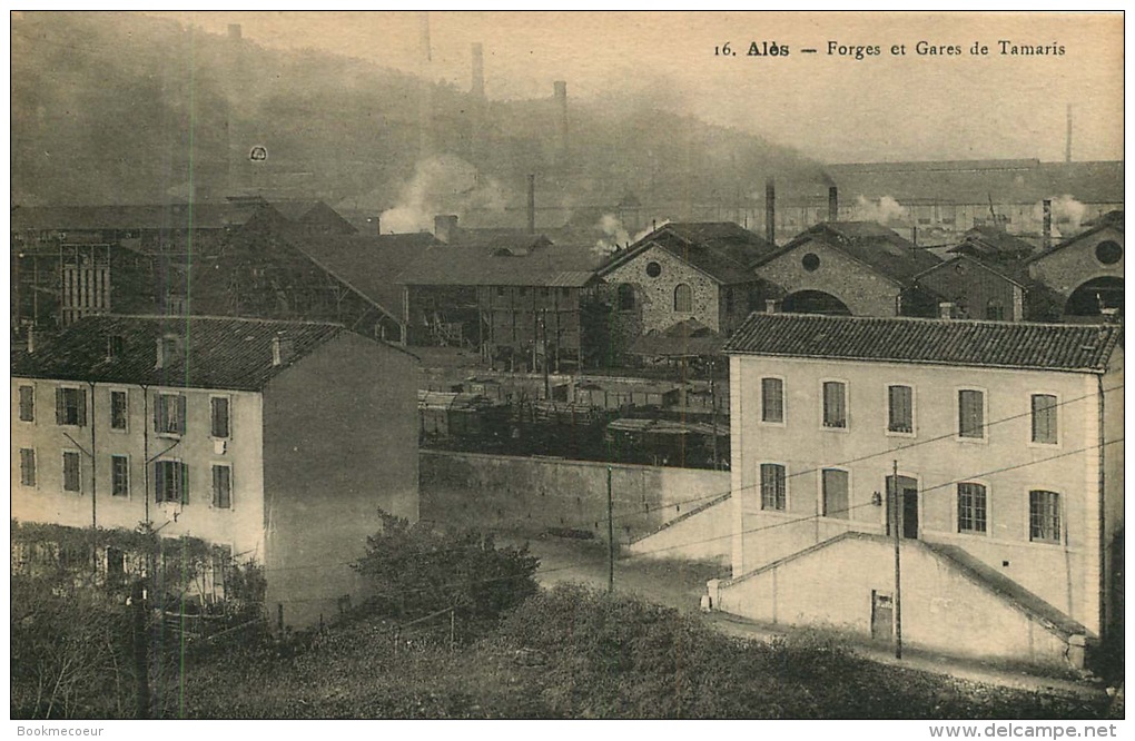 30 GARD   ALES  Les Forges D' ALES  Forges Et Gare De TAMARIS - Alès