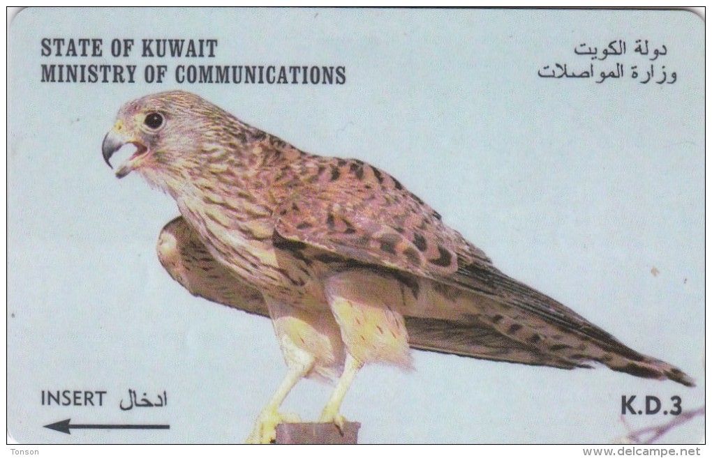 Kuwait, 39KWTM, 3 &#1583;.&#1603;, Kestrel, Bird, 2 Scans. - Koeweit