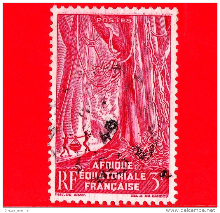 AFRICA Equatoriale - AEF - Usato - 1947 - Alberi - Foreste - Foreste Pluviali - Piante ( Flora ) - 3 - Usados