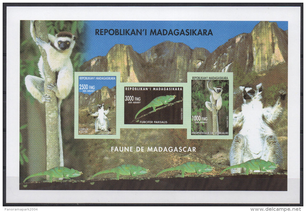 Madagascar Madagaskar 2002 Mi. 2590/2591/2592 Faune Fauna Lemur Catta Lemurien Animals S/S IMPERF Bloc Block RARE ! - Madagascar (1960-...)