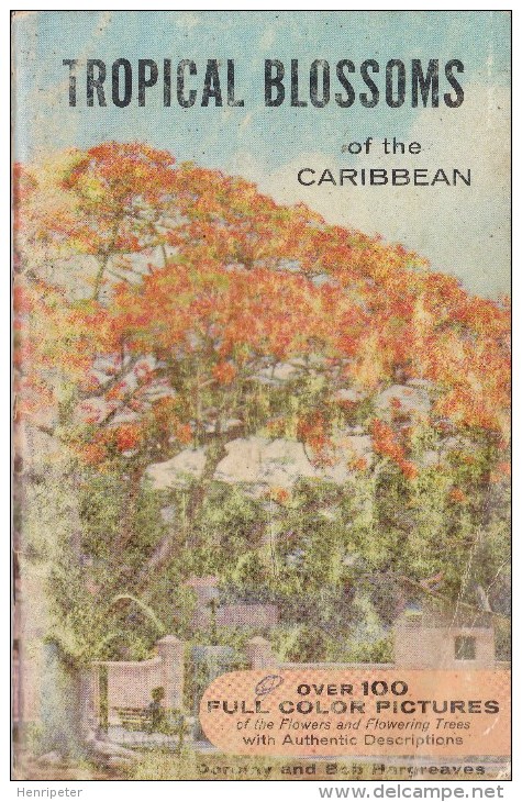 Tropical Blossoms Of The Caribbean - Livre D'occasion - Gardening