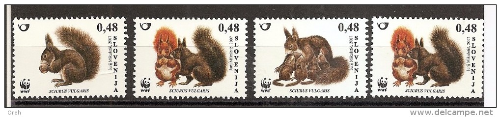 SLOVENIA 2007,FAUNA,SCIURUS VULGARIS,,MNH - Slovenia