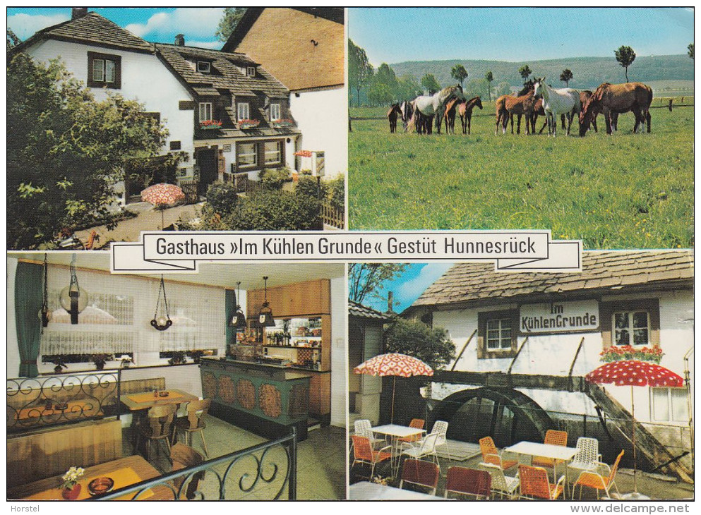 D-37586 Dassel - Solling - Gasthaus " Im Kühlen Grunde" - Gestüt Hunnesrück - Nice Stamp - Northeim