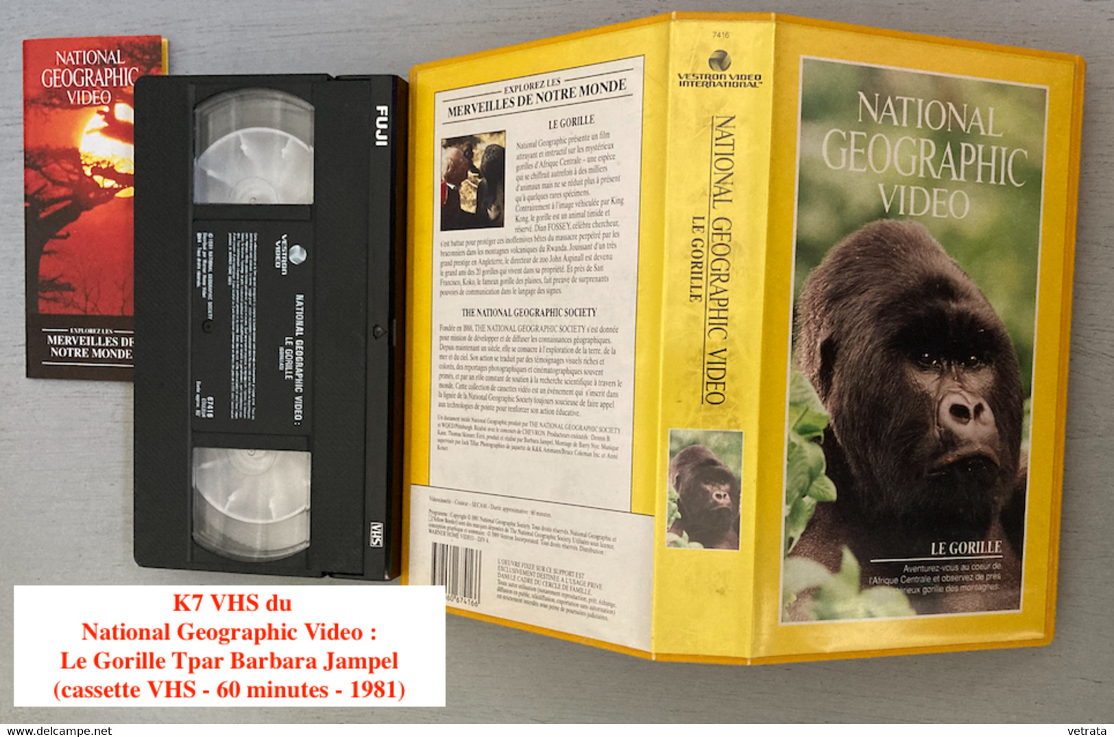 National Geographic Video: Le Gorille Par Barbara Jampel (cassette VHS) - Documentales