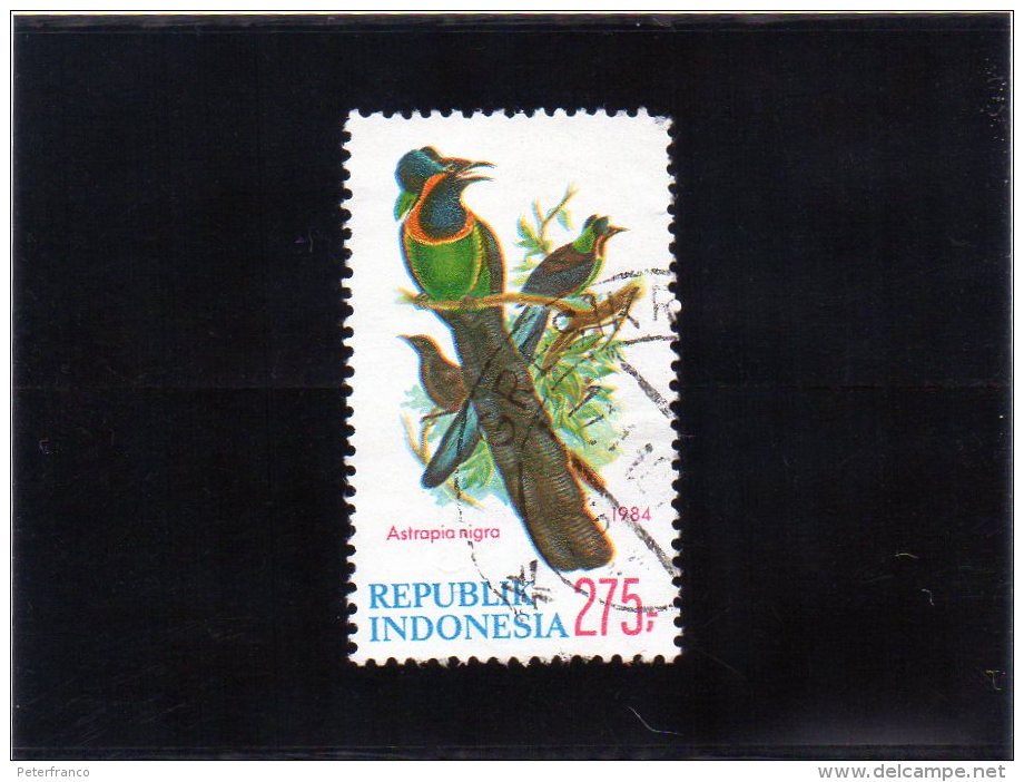 1984 Indonesia - Astropia Nigra - Sparrows