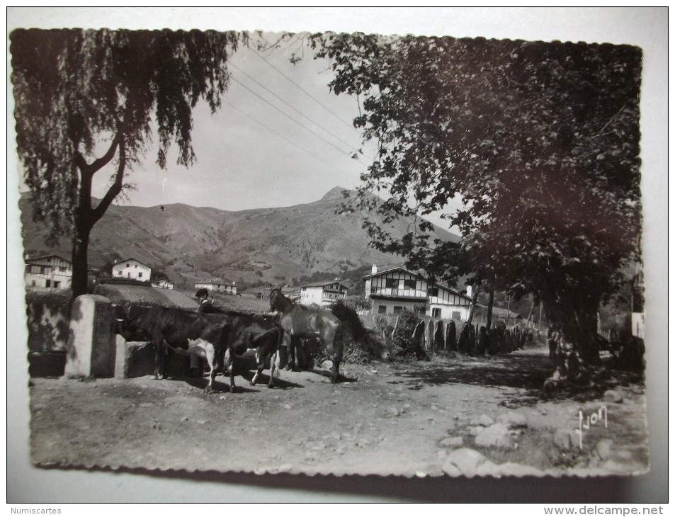 Carte Postale Sare La Rhune Vue Du Quartier Lehenbiscaye (oblitérée 1956 Timbre "Quimper") - Sare