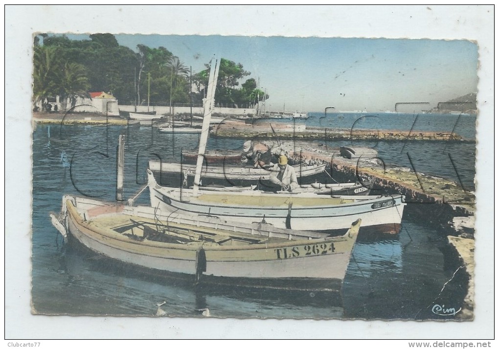 La Seyne-sur-Mer (83) : GP De Barques De Pêche Dans Le Port De Tamaris En 1961 (animé) PF. - La Seyne-sur-Mer
