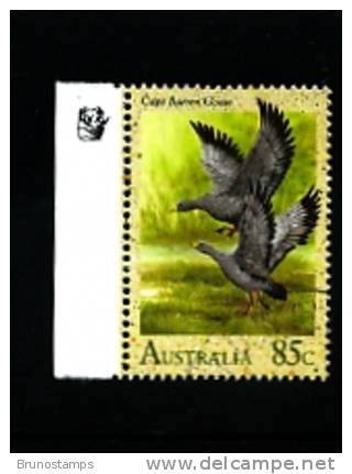 AUSTRALIA - WATERBIRDS  85 C.  CAPE BARREN GOOSE   REPRINT 1 KOALA  FINE USED - Essais & Réimpressions