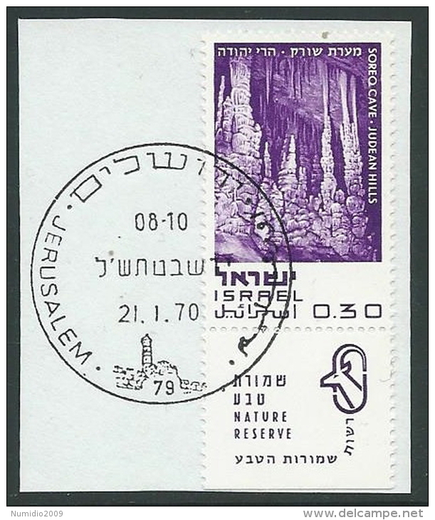 1970 ISRAELE USATO NATURA 30 A CON APPENDICE - T2 - Usados (con Tab)