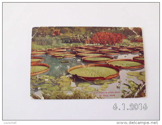 St.Paul. - Lily Pond In Como Park. (16 - 10 - 1908) - St Paul