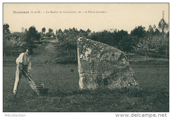 77 COURTOMER / Le Menhir De Courtomer, Dit La "Pierre-Couvée" / - Other & Unclassified