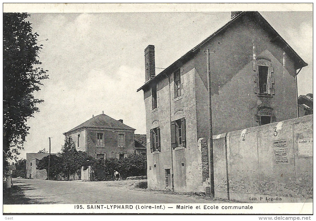 44  SAINT   LYPHARD  MAIRIE  ET  ECOLE  COMMUNALE - Saint-Lyphard