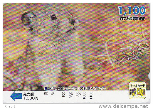 Carte Prépayée JAPON - ANIMAL Rongeur MARMOTTE - MARMOT JAPAN Prepaid Bus Card - MURMELTIER - Hiro 42 - Autres & Non Classés