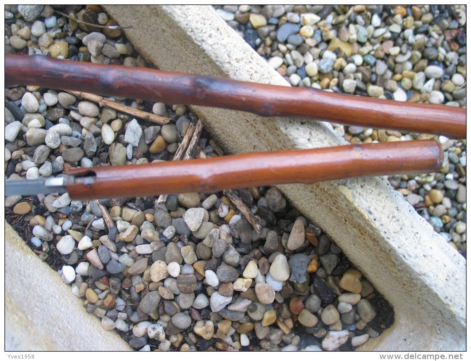 Ancienne Canne Stylet,dague En Bois D'épineux,19e ,début De Siècle. - Armes Blanches