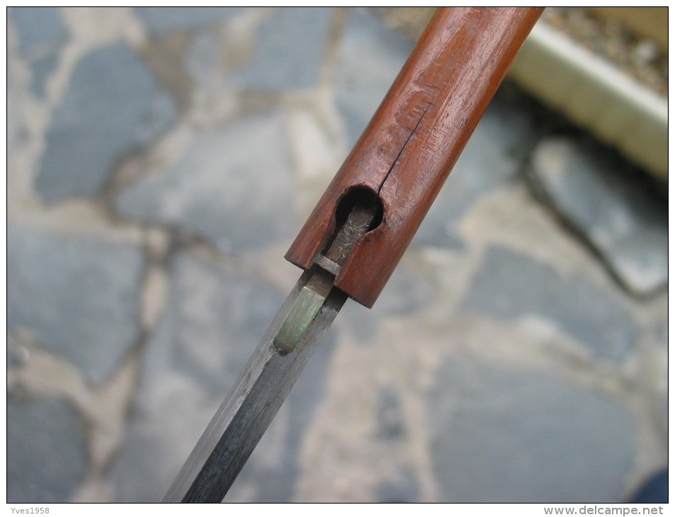 Ancienne Canne Stylet,dague en bois d'épineux,19e ,début de siècle.