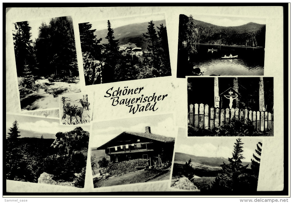 Bayerischer Wald  -  Mehrbild-Ansichtskarte Ca. 1971    (5539) - Cham