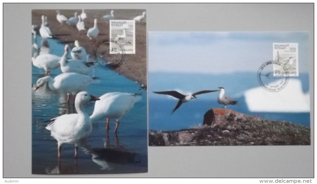 Grönland 199/0 Yt 187/8 Maximumkarte MK/CM, ESST, Schneegans (Anser Caerulescens) U. Falkenraubmöwe (Stercorarius Long.) - Maximumkaarten